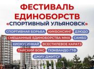 В День города в Ульяновске пройдет фестиваль единоборств