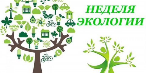 В Ульяновске стартовала неделя национального проекта &laquo;Экология&raquo;