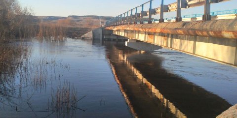 Уровень Свияги на территории Ульяновска упал, Сельди - вырос