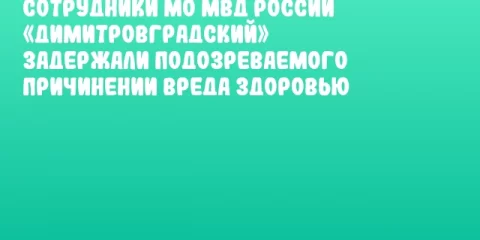 Сотрудники МО МВД России «Димитровградский» задержали подозреваемого причинении вреда здоровью