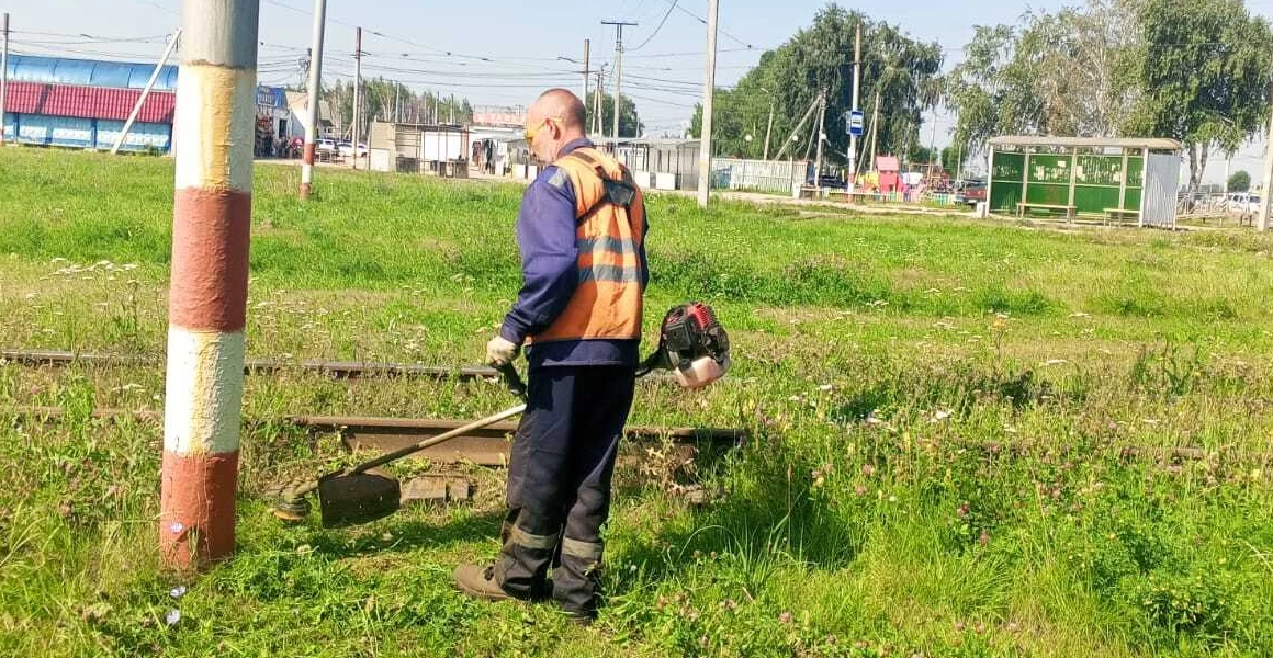 ​Ульяновск закупит дополнительную технику для покоса травы — мэрия ускоряет темпы благоустройства
