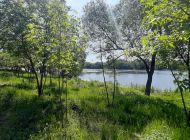 В ульяновском микрорайоне Мостовая продолжают обустраивать зону отдыха на берегу Свияги