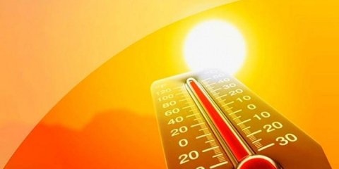 В лесах Ульяновской области  прогнозируется высокая пожароопасность