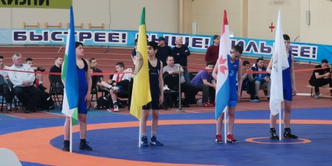 В Ульяновске проходит первенство Приволжского федерального округа по греко - римской борьбе