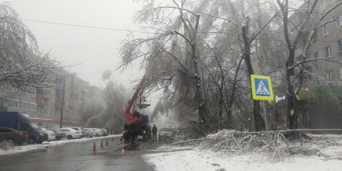 За субботу с северной части Ульяновска вывезли 130 кубометров сломанных ледяным дождём деревьев