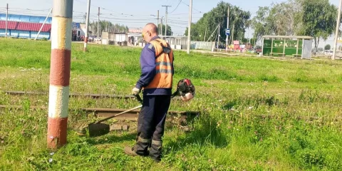 ​Ульяновск закупит дополнительную технику для покоса травы — мэрия ускоряет темпы благоустройства