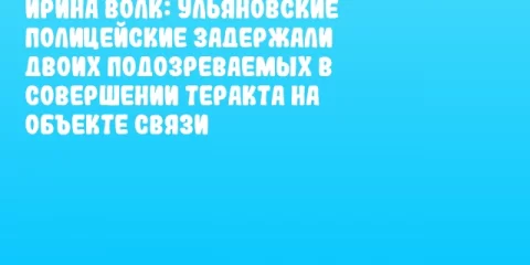 Ирина Волк: Ульяновские полицейские задержали двоих подозреваемых в совершении теракта на объекте связи