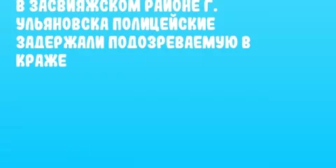В Засвияжском районе г. Ульяновска полицейские задержали подозреваемую в краже