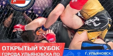 В Ульяновске пройдет открытый Кубок города по смешанному единоборств