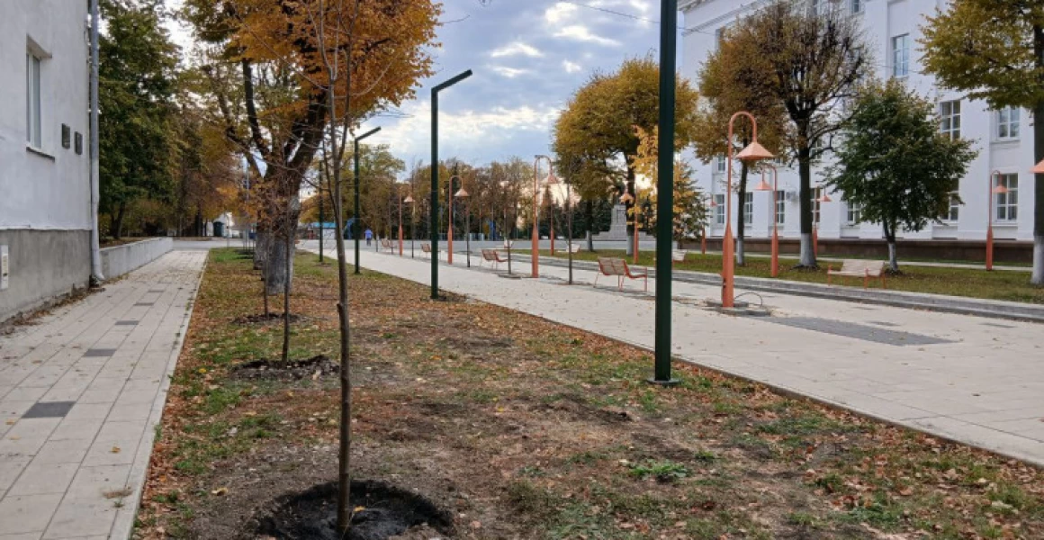 Этой осенью центральную часть Ульяновска украсят свыше 200 деревьев
