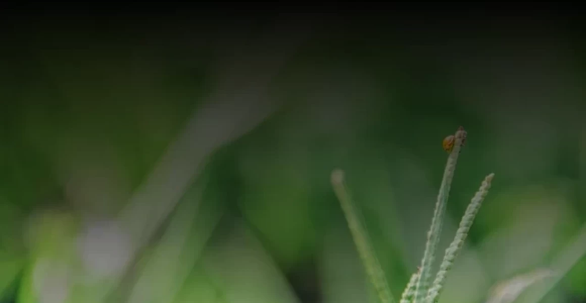 Больше 30 тысяч ульяновских школьников принимают участие в федеральном проекте «Билет в будущее» Больше 30 тысяч ульяновских школьников принимают участие в федеральном проекте «Билет в будущее»