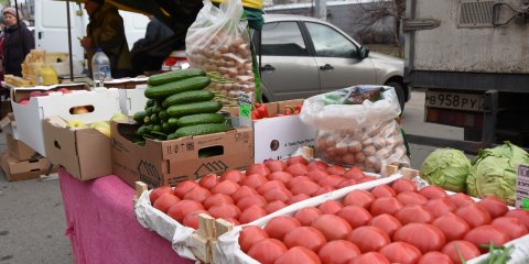 Около 40 тонн сельскохозяйственных товаров было продано на ярмарке в Заволжском районе