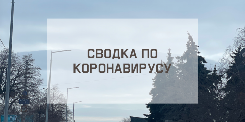Ситуация с коронавирусом в городе на 24 февраля