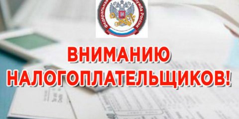 Через какие сервисы ФНС России граждане могут оплачивать налоги онлайн