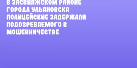 В Засвияжском районе города Ульяновска полицейские задержали подозреваемого в мошенничестве