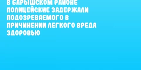 В Барышском районе полицейские задержали подозреваемого в причинении легкого вреда здоровью