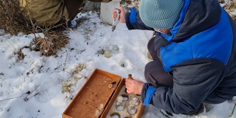 Экологическая катастрофа с водой в Ульяновской области