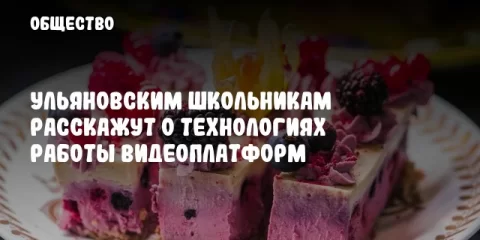 Ульяновским школьникам расскажут о технологиях работы видеоплатформ