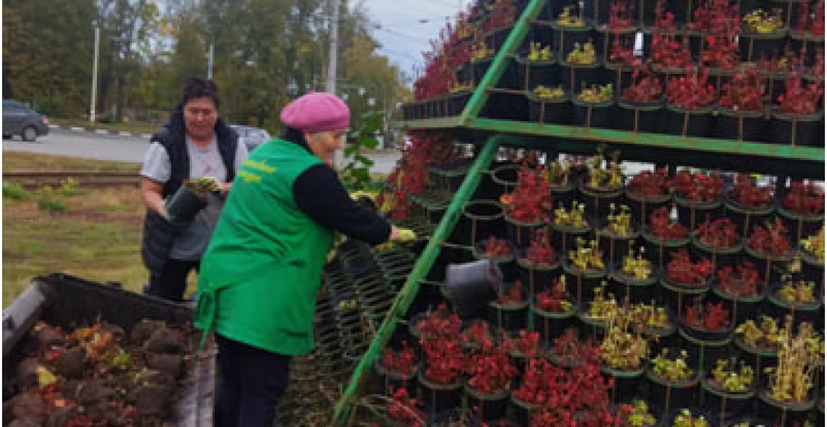 Ульяновские парки и скверы готовят к зимнему сезону