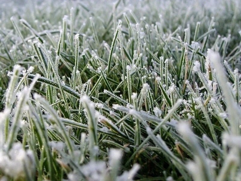 В Ульяновске ожидаются заморозки