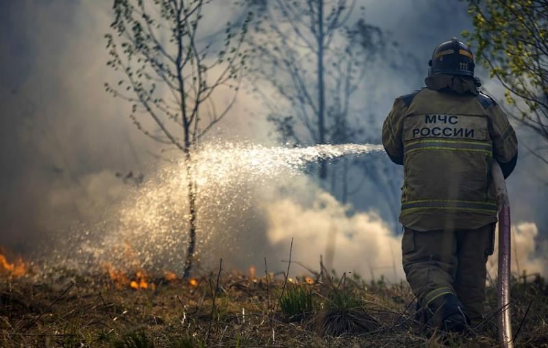 В Ульяновске ожидается высокая пожарная опасность