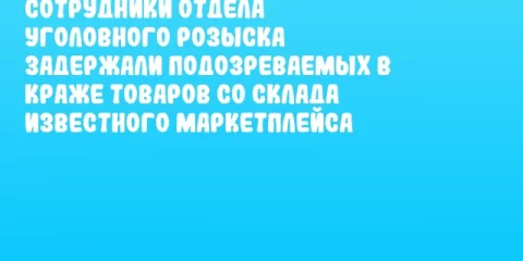 Сотрудники отдела уголовного розыска задержали подозреваемых в краже товаров со склада известного маркетплейса