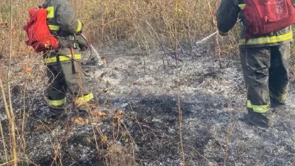 В Ульяновске перевыполнен план осенней противопожарной опашки