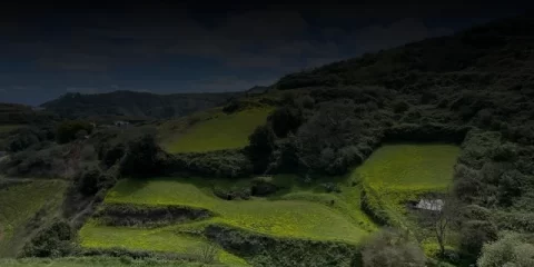 В Ульяновске начата противопожарная опашка территорий В Ульяновске начата противопожарная опашка территорий