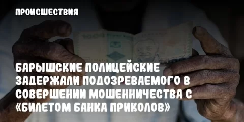 Барышские полицейские задержали подозреваемого в совершении мошенничества с «билетом банка приколов»