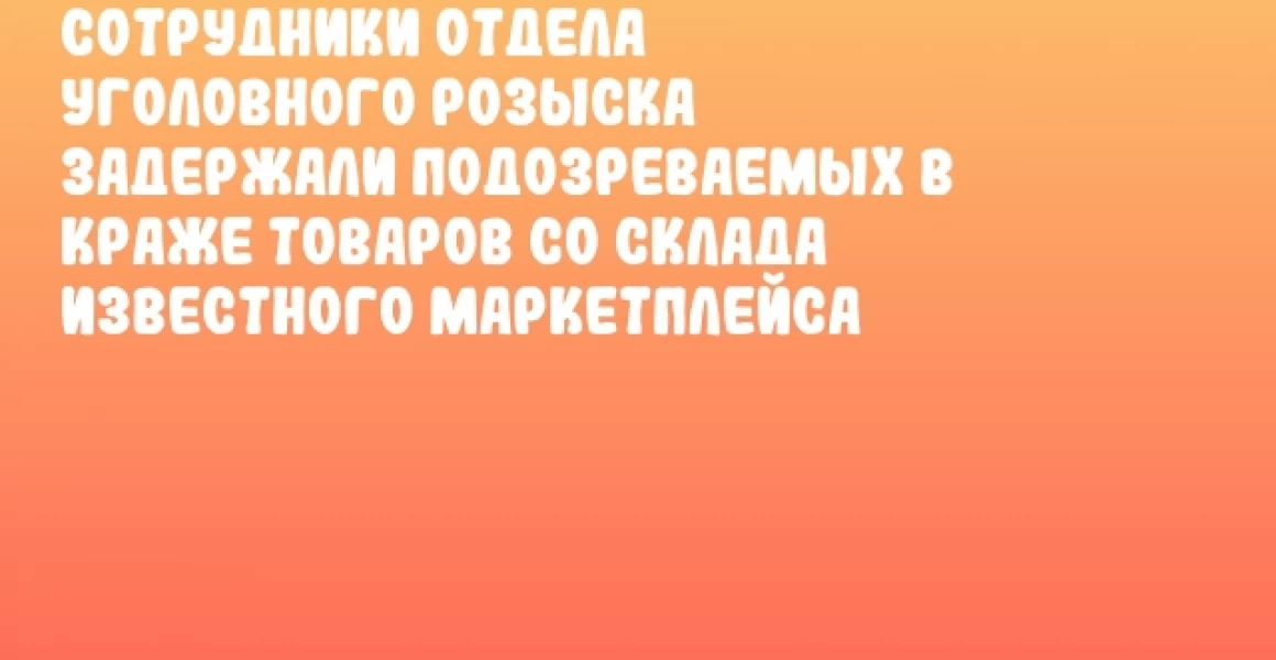 Сотрудники отдела уголовного розыска задержали подозреваемых в краже товаров со склада известного маркетплейса Сотрудники отдела уголовного розыска задержали подозреваемых в краже товаров со склада известного маркетплейса