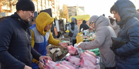 12 ноября в Ленинском районе пройдёт сельскохозяйственная ярмарка
