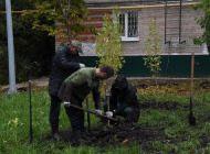 В Ульяновске продолжается озеленение территорий