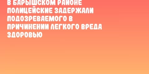В Барышском районе полицейские задержали подозреваемого в причинении легкого вреда здоровью