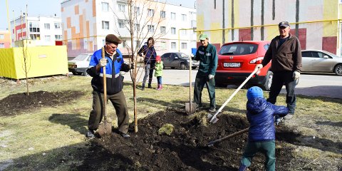 В Ульяновске запланировано благоустройство дворов