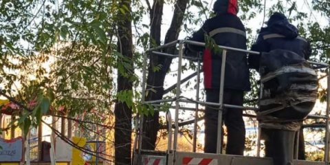 В Ульяновске на прошлой неделе снесли 97 аварийных деревьев