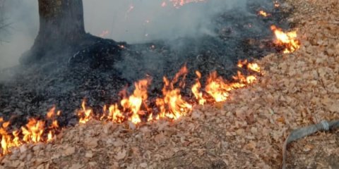 В Ульяновске объявлена пожарная опасность 5 класса
