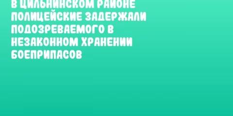 В Цильнинском районе полицейские задержали подозреваемого в незаконном хранении боеприпасов
