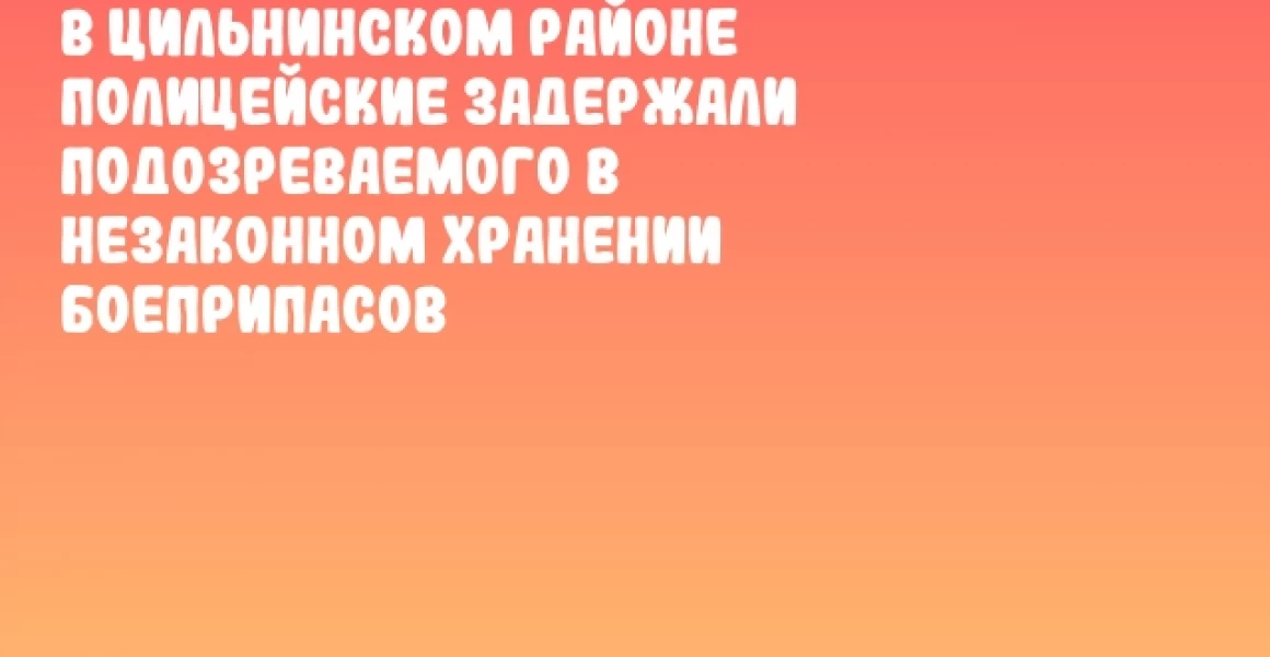 В Цильнинском районе полицейские задержали подозреваемого в незаконном хранении боеприпасов В Цильнинском районе полицейские задержали подозреваемого в незаконном хранении боеприпасов