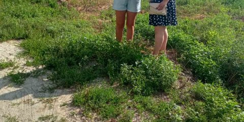 С помощью квартальных уполномоченных за июль отработано почти 300 замечаний по содержанию районов Ульяновска