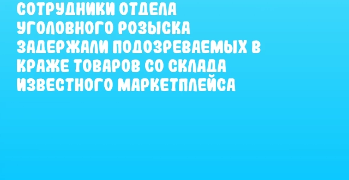 Сотрудники отдела уголовного розыска задержали подозреваемых в краже товаров со склада известного маркетплейса Сотрудники отдела уголовного розыска задержали подозреваемых в краже товаров со склада известного маркетплейса