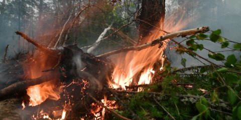 В Ульяновске ожидается высокая пожарная опасность