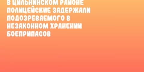 В Цильнинском районе полицейские задержали подозреваемого в незаконном хранении боеприпасов