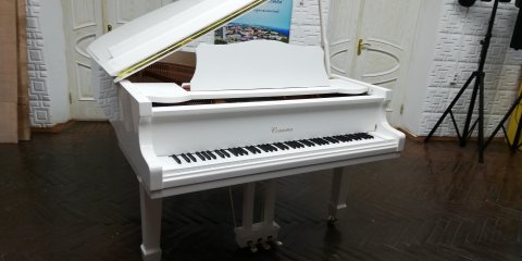 В преддверии Нового года в детскую школу искусств №7 поступили новые музыкальные инструменты