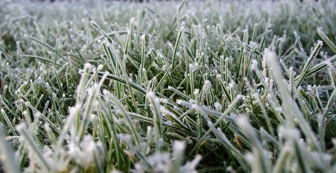 В Ульяновске ожидаются заморозки