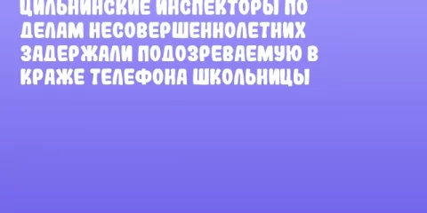 Цильнинские инспекторы по делам несовершеннолетних задержали подозреваемую в краже телефона школьницы