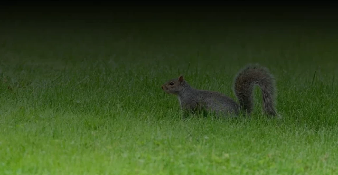 В Майнском районе газифицировано село Старые Маклауши В Майнском районе газифицировано село Старые Маклауши