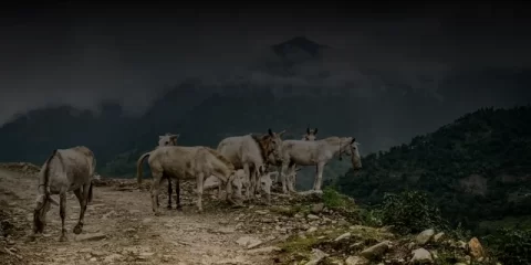 В Ульяновском государственном педагогическом университете имени И.Н. Ульянова открылся Центр военно-патриотического воспитания В Ульяновском государственном педагогическом университете имени И.Н. Ульянова открылся Центр военно-патриотического воспитания