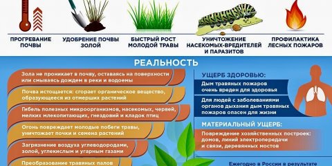 Жителей Ульяновска предупреждают о весенне-летнем пожароопасном сезоне