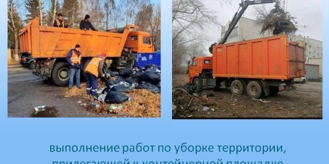 В Ульяновске ликвидировано 265 несанкционированных свалок