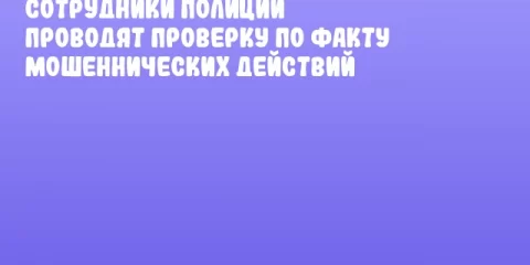 Сотрудники полиции проводят проверку по факту мошеннических действий